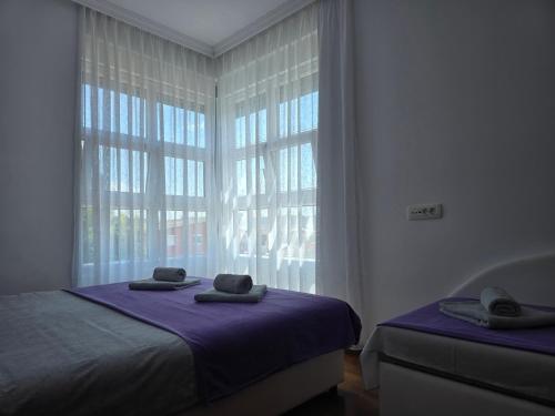 a bedroom with two beds and a large window at Apartments Bujkovic in Bar