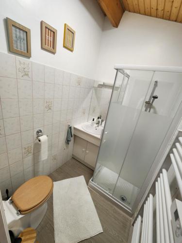 a bathroom with a shower and a toilet and a sink at Bienvenue chez nous ! in Combrand