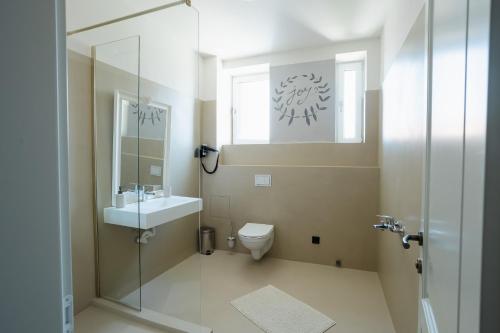 a bathroom with a shower and a toilet and a sink at Vila Sibiu in Sibiu
