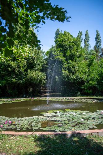 a pond with a fountain in a park with water lilies at Mas de la Chapelle in Arles