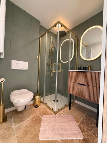 a bathroom with a shower with a toilet and a sink at Sexty-nine, villa 69 héliovillage in Cap d'Agde