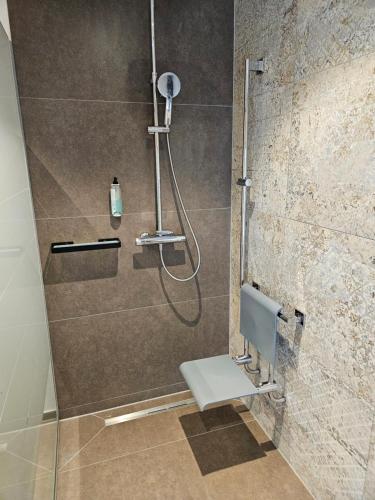 a bathroom with a shower with a toilet in it at Biohofgut LASCHALT Premium Apartments im Südburgenland mit Bio Frühstück in Deutsch Kaltenbrunn