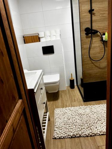 a bathroom with a shower and a toilet and a rug at Prociówka in Ciche