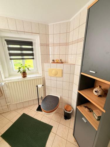 a small bathroom with a toilet and a window at Naturhof Kluge in Saupsdorf