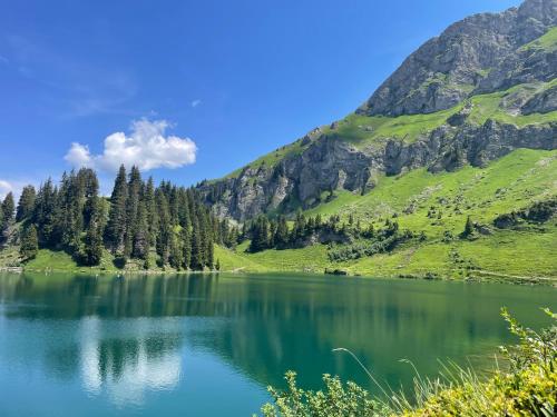 Blick auf einen See in den Bergen in der Unterkunft Alpine Dream Chalet with Spa close to Lake Geneva in Les Mosses