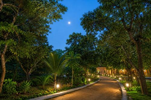 a road lined with trees and lights at night at Sterling Padam Pench in Khawāsa