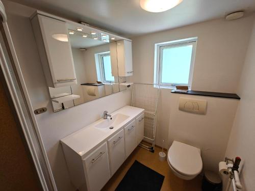 a bathroom with a sink and a toilet and a mirror at Satellit lejligheder Vejle C in Vejle
