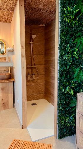 a shower in a room with a green wall at Les 4 Horizons in Romorantin