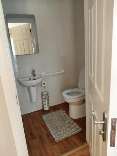 a bathroom with a sink and a toilet and a mirror at Turnpike Mews in Birr