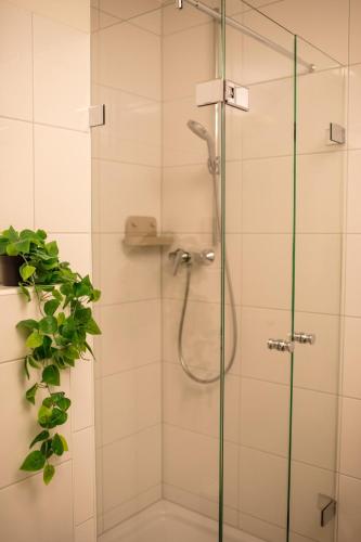 a shower with a glass door with a plant at Zentrale City Apartments in Oldenburg