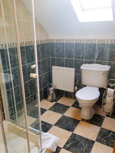 a bathroom with a toilet and a shower at O'Connor's Accommodation in Doolin