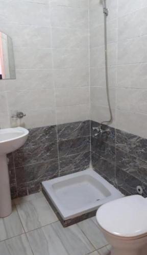 a bathroom with a shower with a toilet and a sink at Tahiti North coast kilo 62 in Borg El Arab