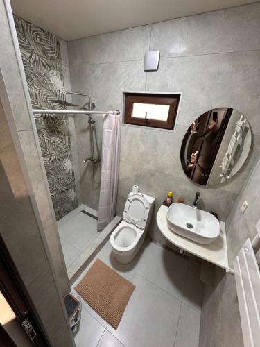a bathroom with a toilet and a sink and a mirror at Guesthouse SHAMPRIANI in Mestia