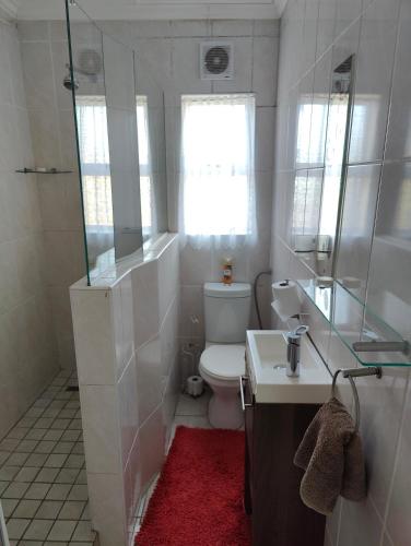 a bathroom with a toilet and a sink and a window at Hunters Self Catering Apartment in East London