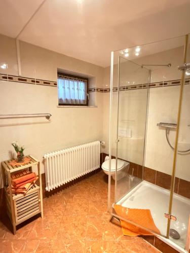 a bathroom with a glass shower and a toilet at Haus Oberwiesenthal in Kurort Oberwiesenthal