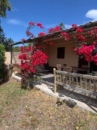 Mini Villa Santa