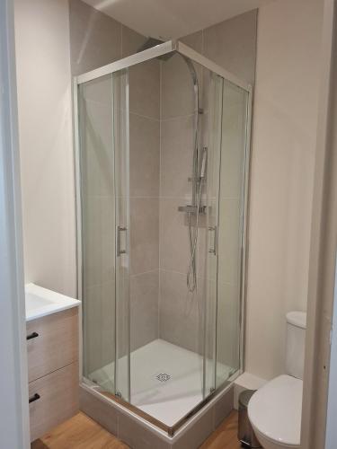 a glass shower in a bathroom with a toilet at Studio de charme - Centre Vienne - Proche gare in Vienne