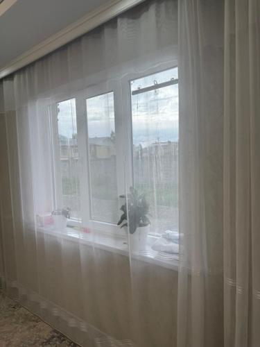 a window with a potted plant on a window sill at Гостевой дом 64 in Naryn