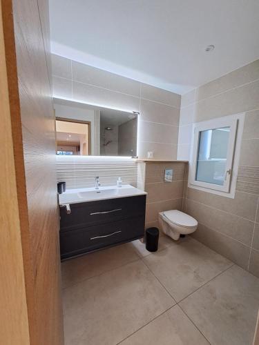 a bathroom with a sink and a toilet and a mirror at La remise de Saussenigoutte in Cornimont