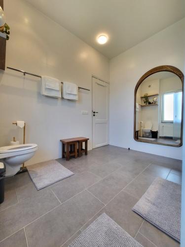 a bathroom with a sink and a toilet and a mirror at Castle-grounds house with rooftop view & jacuzzi in Ghent