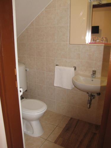a bathroom with a toilet and a sink at Apartments Roza in Rošini
