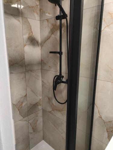 a shower with a glass door in a bathroom at Pokoje u Renatki in Chałupy