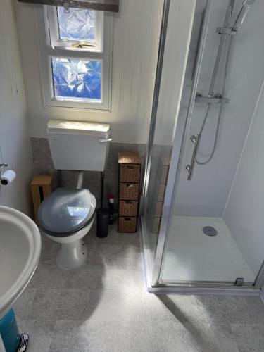 a bathroom with a toilet and a glass shower at Lodge 18 - Caer Beris Park - No Tradesmen in Builth Wells