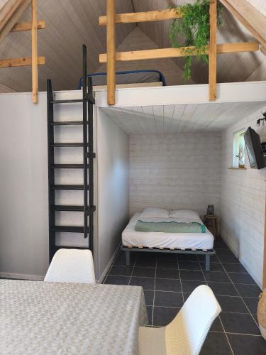 a bedroom with a bunk bed and a ladder at Gîte la Forterie in Linières-Bouton