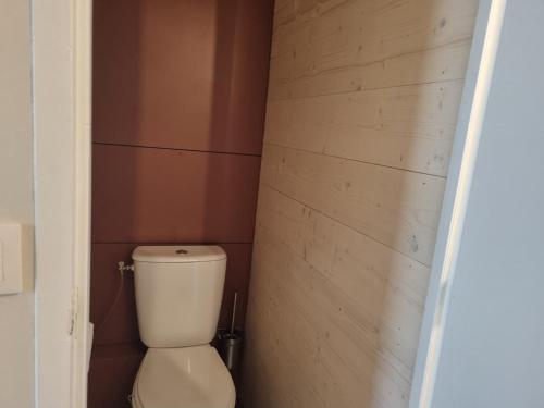Appartement rénové 2 pièces au centre, balcon, animaux admis