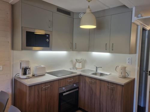 Appartement rénové 2 pièces au centre, balcon, animaux admis
