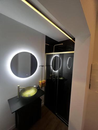 a bathroom with a sink and a mirror at Studi'eau2 in Ostend
