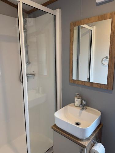 a bathroom with a sink and a shower at Luxury Lodge in Beverley