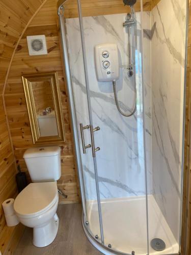 a bathroom with a toilet and a shower at Braehead Pods in Forth