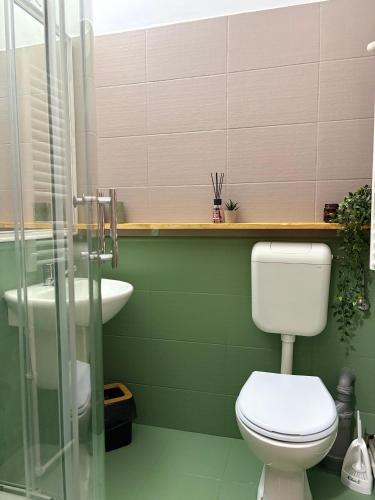 a bathroom with a toilet and a sink at Cabana Xtreme - Valiug in Văliug