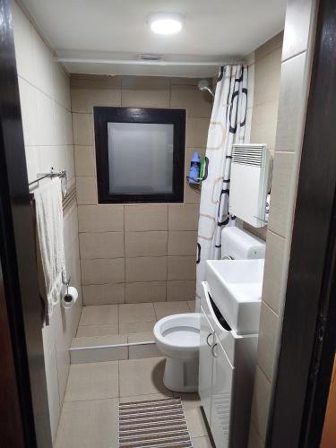 a small bathroom with a toilet and a tv at Domaćinstvo Nikolić-Milicevo Selo in Požega