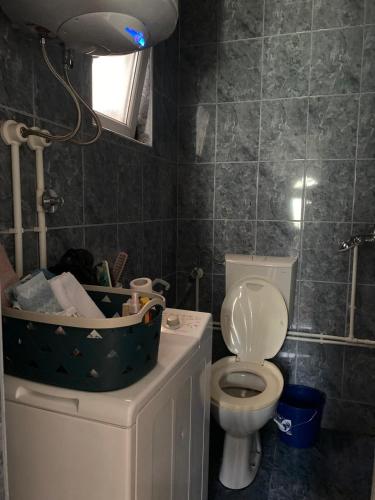 a bathroom with a toilet and a sink at Drinska oaza in Zvornik