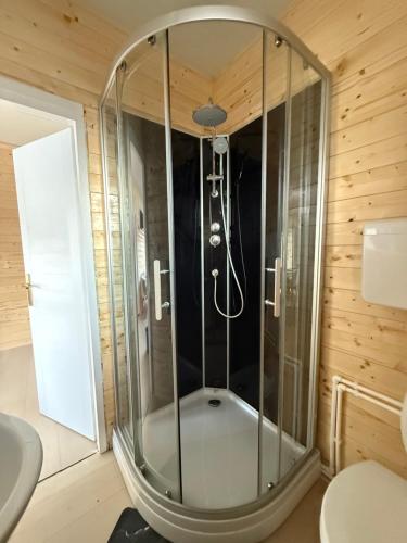 a shower with a glass enclosure in a bathroom at Splav Zoi Perucac in Aluga