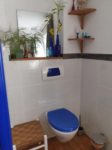 a bathroom with a toilet with a blue lid at Unser Obervolkacher Ferienhaus - Hideaway & Gartenoase mit Wohlfühlflair und Herz für Hunde in Volkach