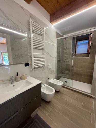a bathroom with a sink and a toilet and a shower at Il Nespolo in Celano