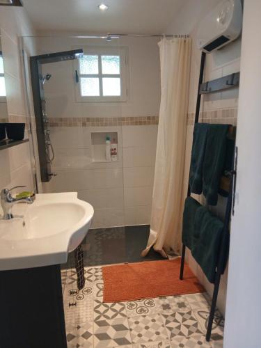 a bathroom with a sink and a shower at Chez lydie et jeff in Laudun
