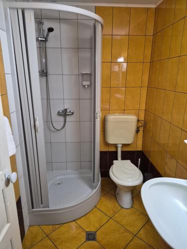 a bathroom with a shower and a toilet and a sink at VILA SZOKE SOVATA in Sovata