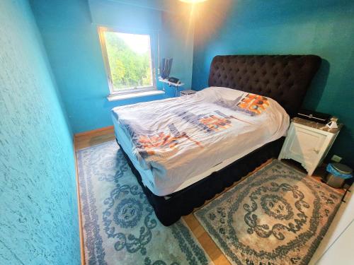 a bedroom with a bed in a blue room at Tomorrowland in Rumst