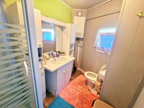 a small bathroom with a sink and a toilet at Tomorrowland in Rumst