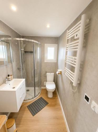 a bathroom with a shower and a toilet and a sink at Górskie Zakątek in Kalna