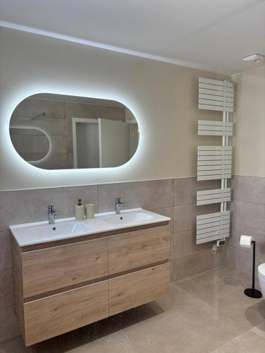 a bathroom with a sink and a mirror at La Loge des Deux Sapins in Oberbetschdorf