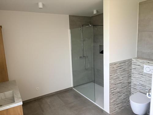 a bathroom with a glass shower and a toilet at Ten Zilte in Blankenberge