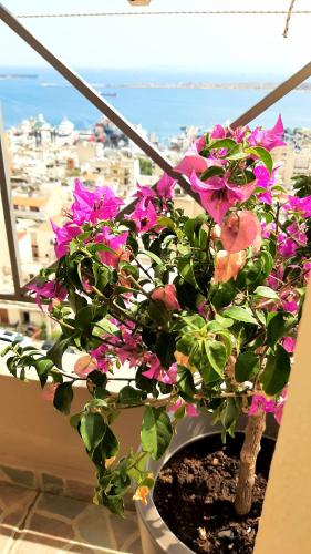 Skyline Vista - Sea View Apartment with Free Parking