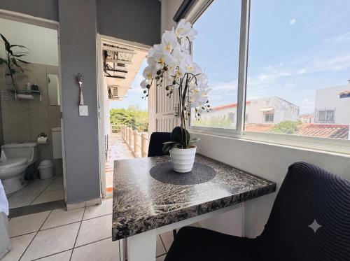 a room with a table with a potted plant on it at Polly's Home Boutique GuestHouse & Private Suites in Aralias in Puerto Vallarta