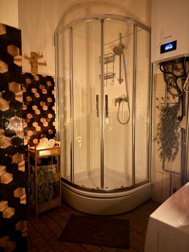 a shower with a glass door in a bathroom at Maison Rosé in Hasselt
