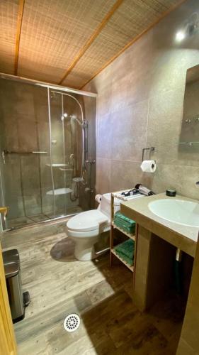 a bathroom with a toilet and a sink and a shower at Ickota B&B in San Pedro de Atacama